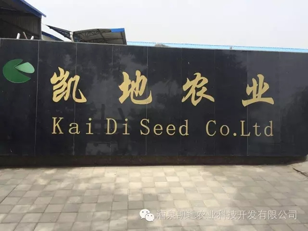 2017ʮЇ_˹̹ЇƷչ[AMekCʡ̄ՏdFPw