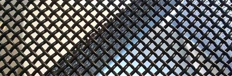 篩分堅果類篩網(wǎng)需要注意什么